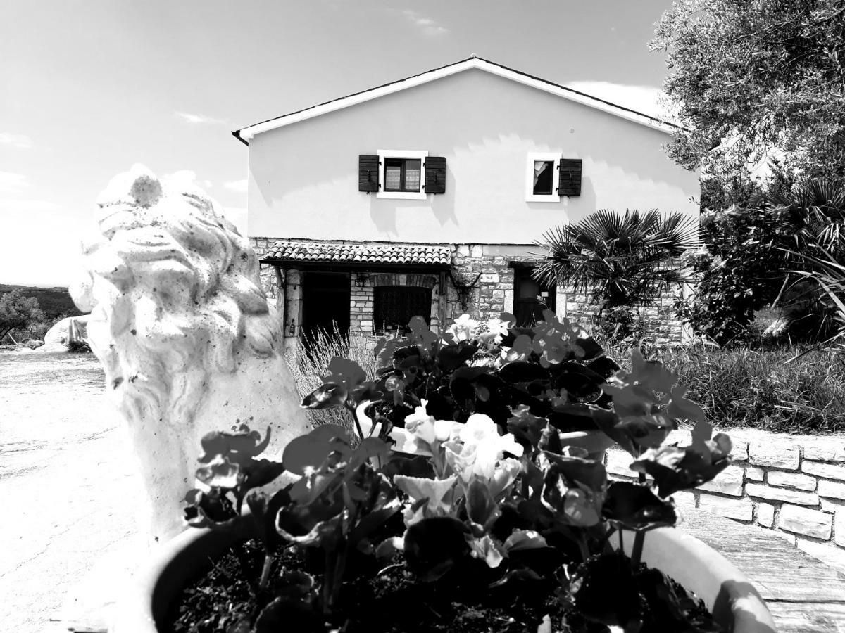 Rooms Agroturizam Romano บูเย ภายนอก รูปภาพ